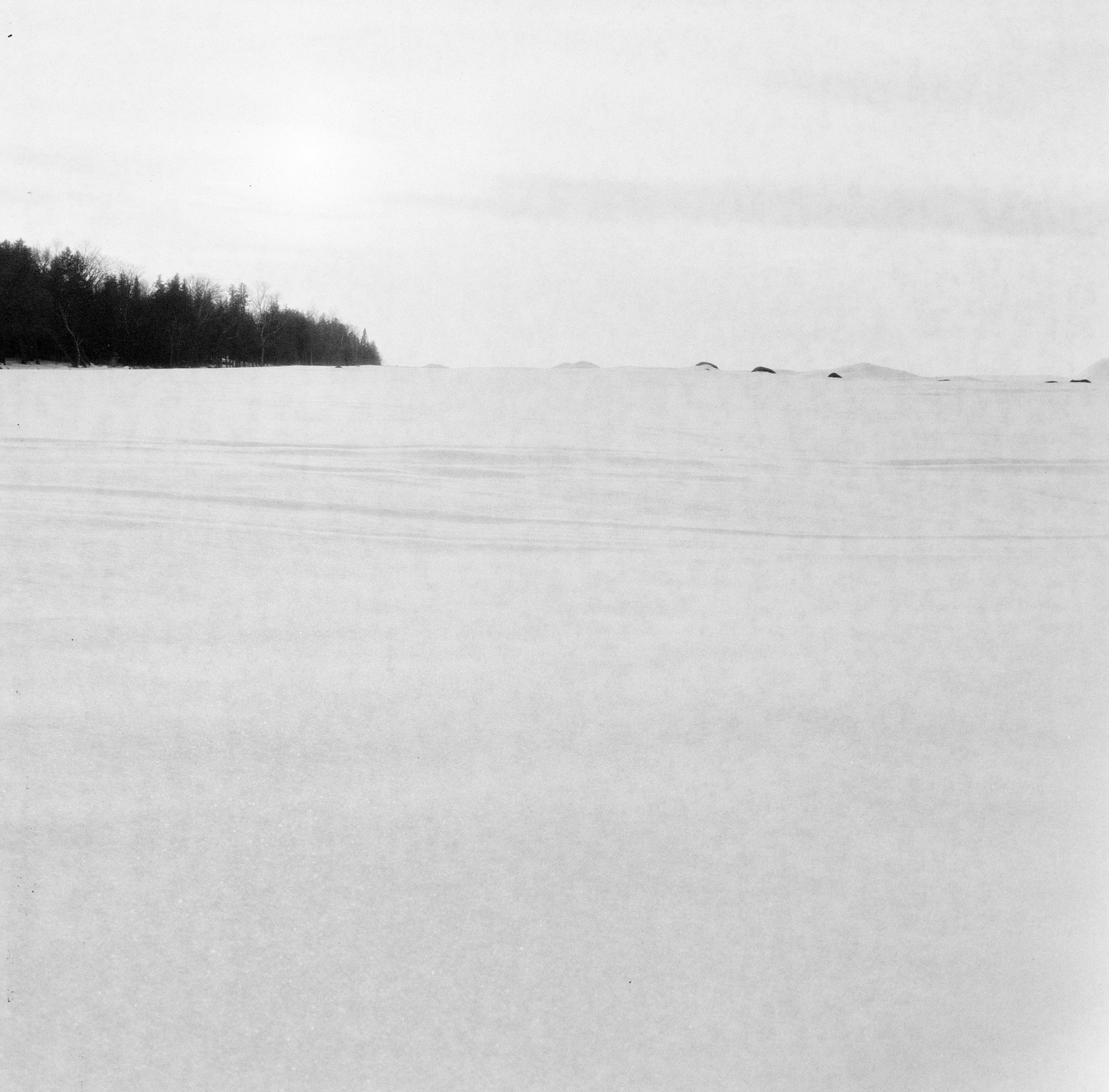 Sawlog Bay